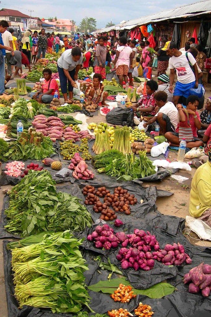 Navigating Financial Resilience in Emerging Markets