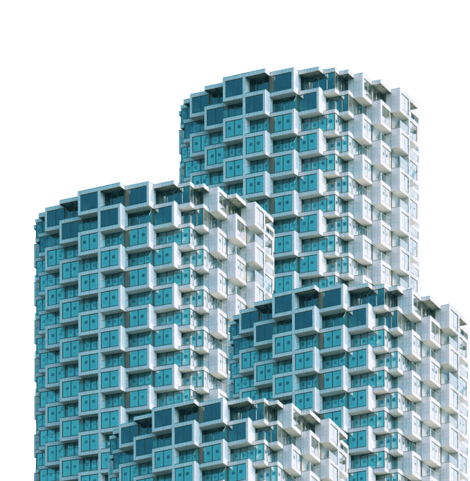 Nelion Finance Dashboard