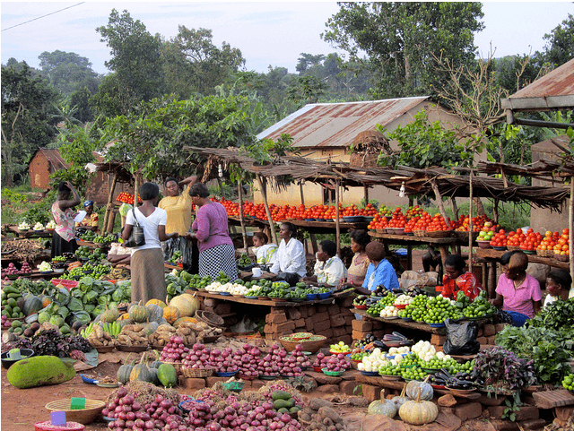 Our Commitment to Positive Change: Harmonizing Growth and Impact